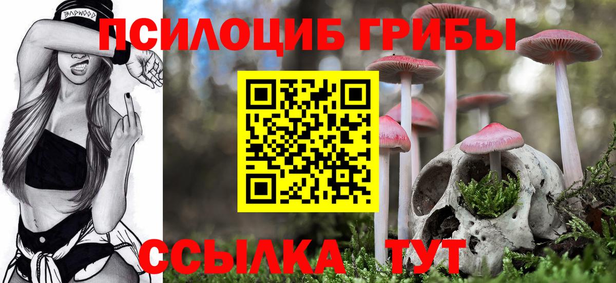 Алексеевка  Галлюциногенные грибы ЛСД  Вход с VPN 