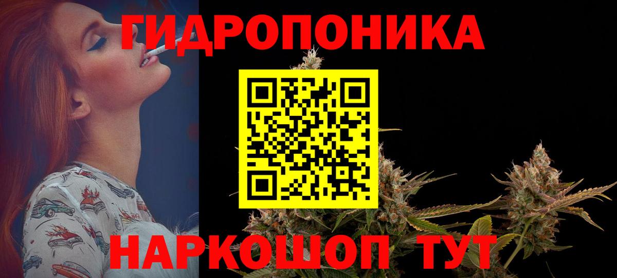 Шишки марихуана конопля Алексеевка